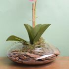 Arranjo De Orquídea Artificial Rosa No Vaso Vidro | Formosinha